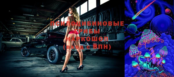 гашик Абдулино