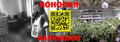 стафф Чебоксары