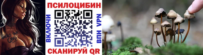 Псилоцибиновые грибы GOLDEN TEACHER  закладка  Алушта 