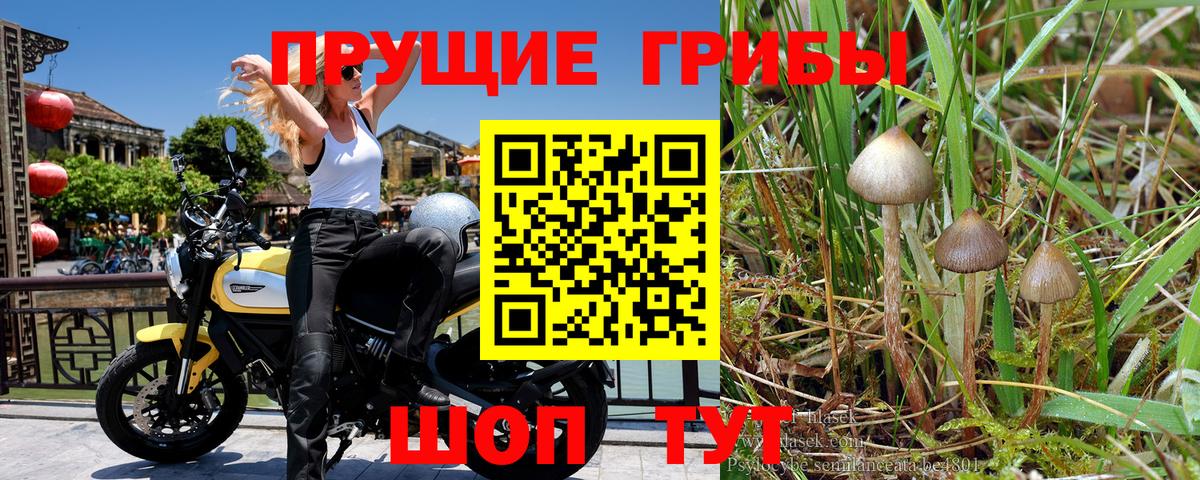 Галлюциногенные грибы Magic Shrooms Алушта
