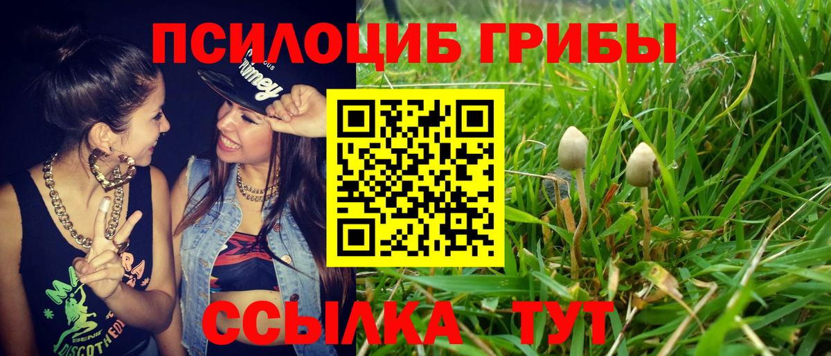 Алушта  Псилоцибиновые грибы Cubensis  Вход с VPN 