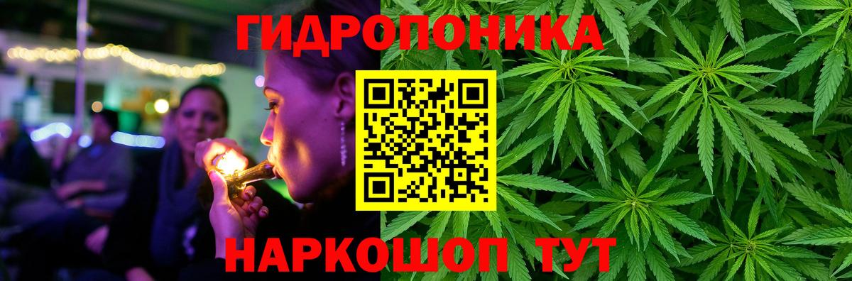 Бошки Шишки OG Kush Алушта